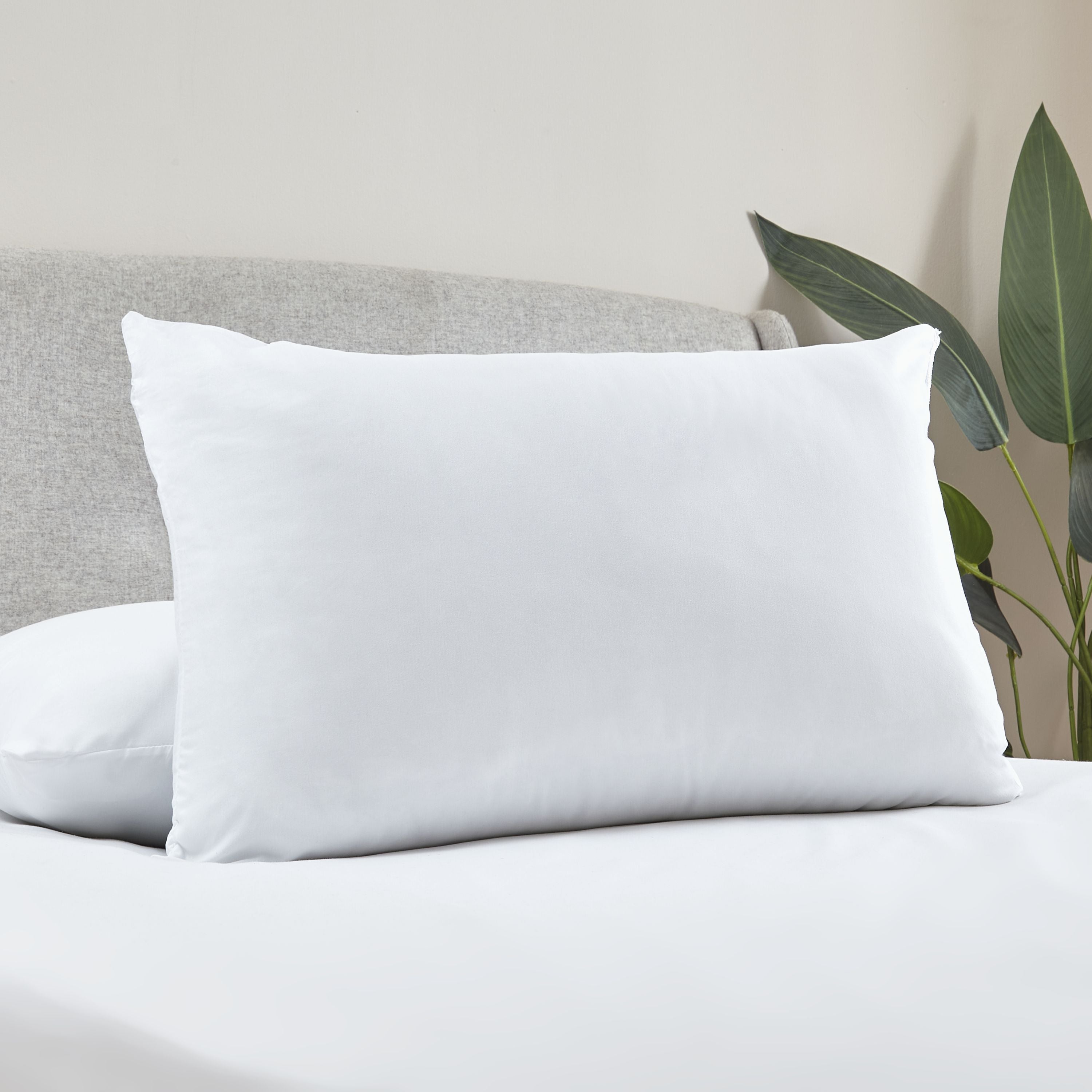 Soft Touch Microfibre Pillow Pair