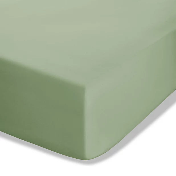 Combed Percale Non-Iron Sheeting, Sage Green