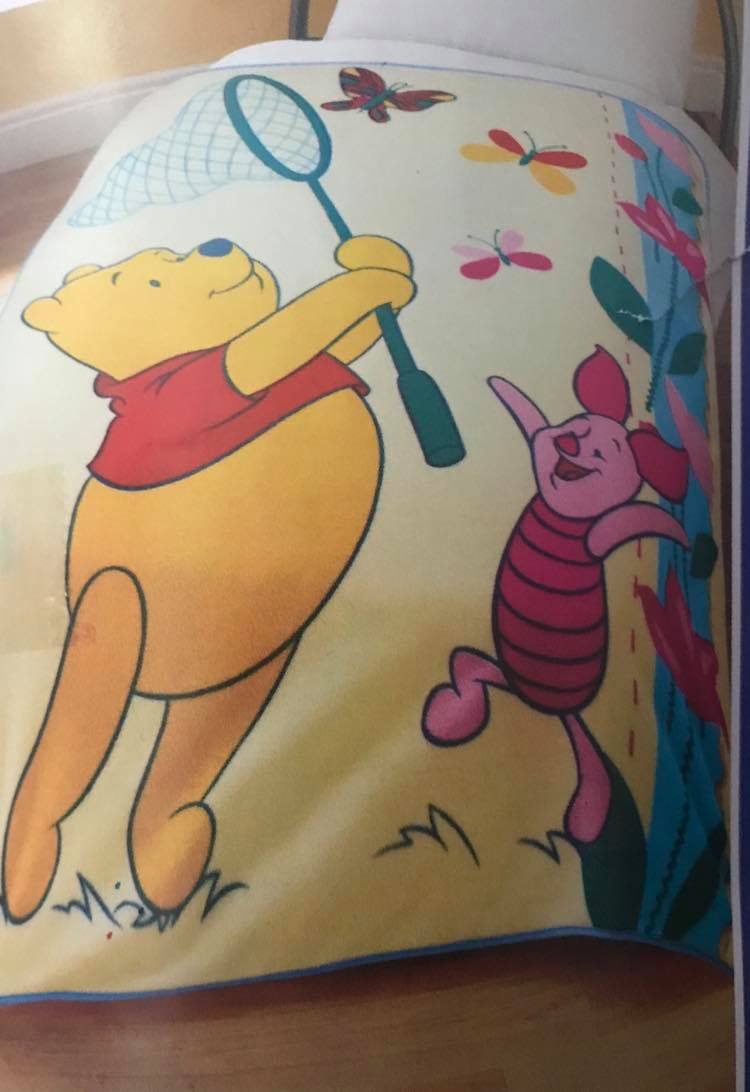 Disney - Winnie the Pooh Cojín & Alfombra